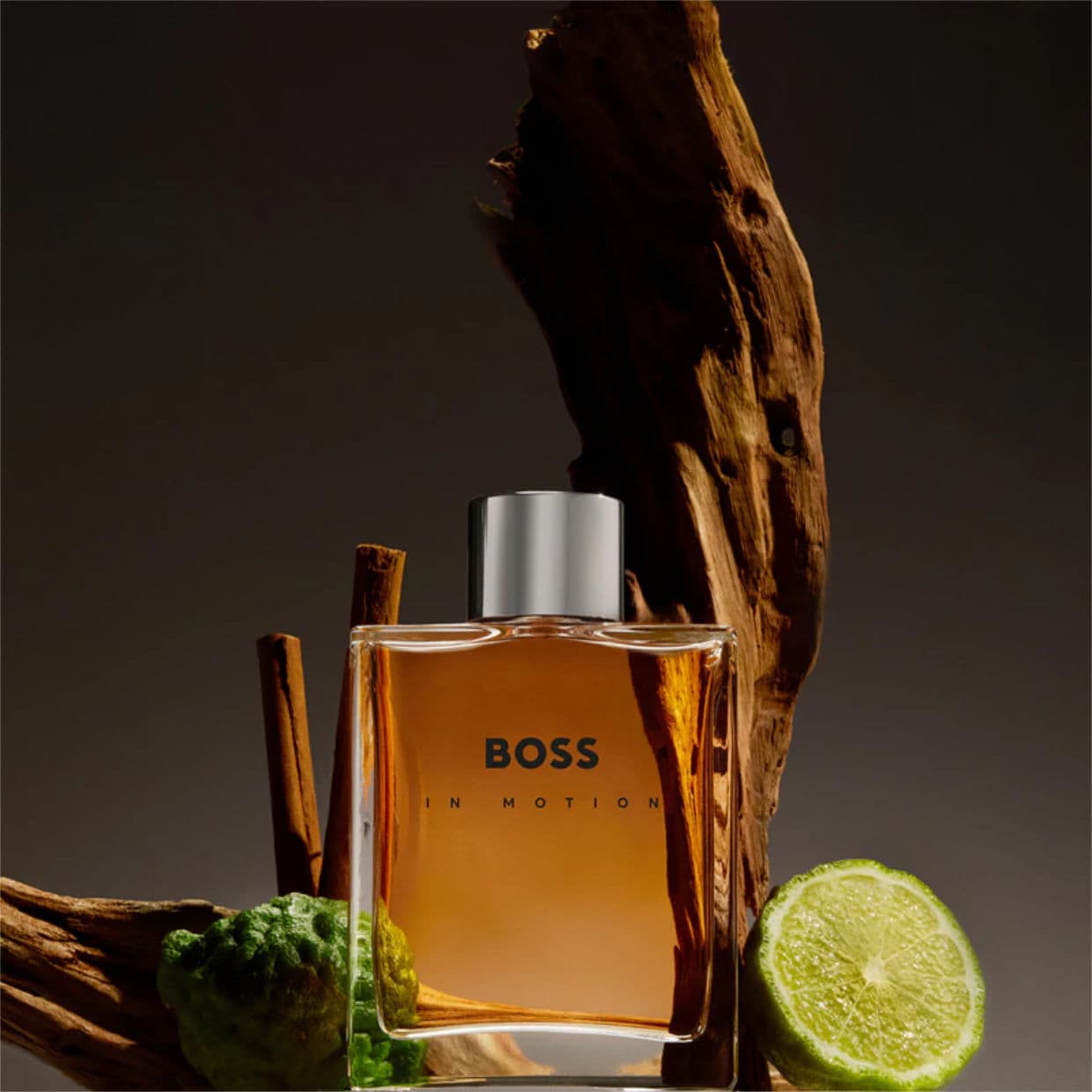 Hugo Boss | Boss In Motion