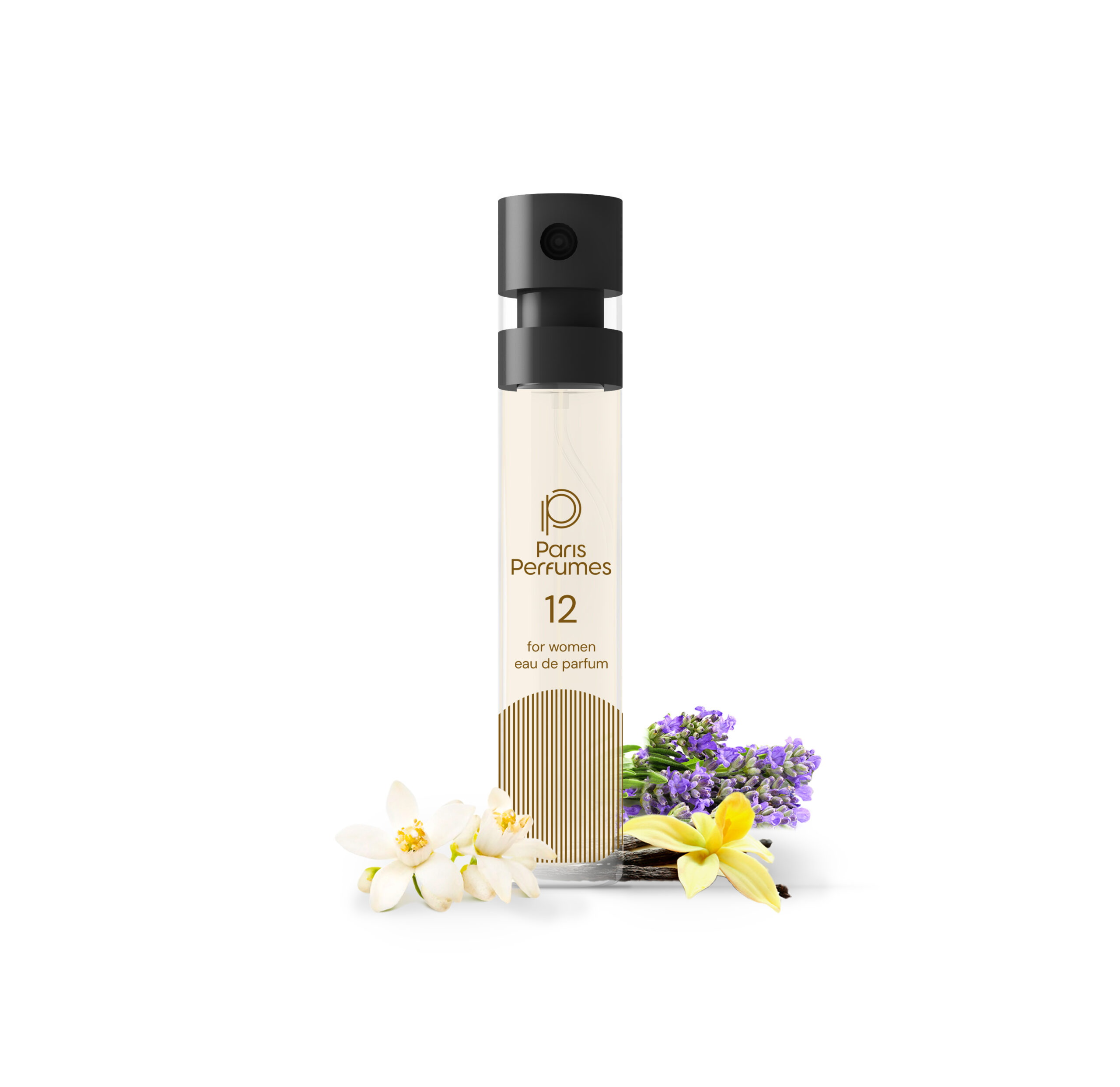 N&deg; 12